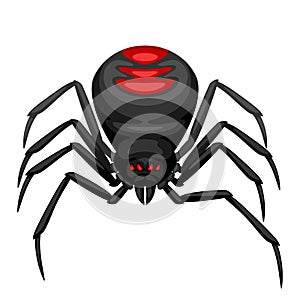 Black widow spider icon.