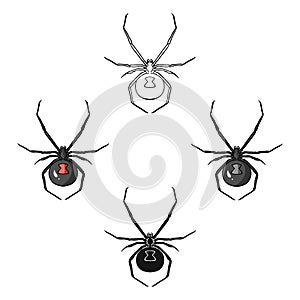 Black widow spider icon in cartoon,black style isolated on white background. Insects symbol stock vector illustration.