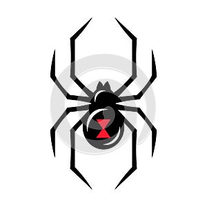 Black widow spider icon photo