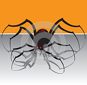 Black Widow Spider