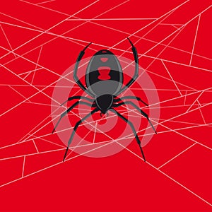 Black widow spider vector