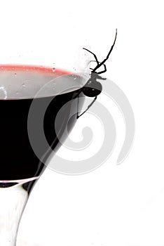 Black Widow Spider on Wine Glass