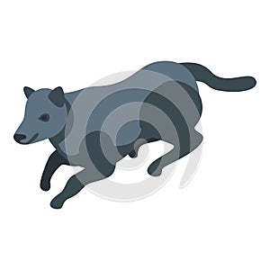 Black wild wolf icon, isometric style