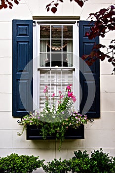 Black Window Shutters with Flowers in Flower Box