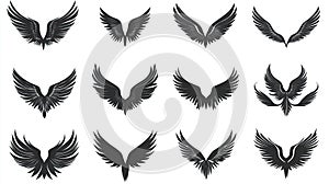 Black wings set design elements