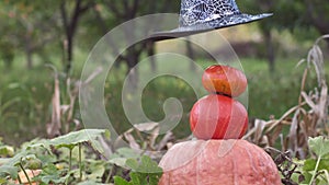 black witch hat falls on a pyramid of pumpkins for Halloween .Traditional symbol of Halloween