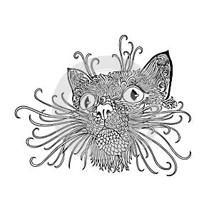 Black and wite cat with ethnic floral ornaments for adult coloring book. Zentagle pattern. Vector doodle illustration