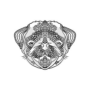 Black and wite pug with ethnic floral ornaments for adult coloring book. Zentagle pattern. Vector doodle illustration