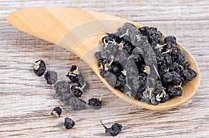 The Black wolfberries or black goji berries, in a wooden spoon on table. Chinese herbs commonly used in traditional Chinese