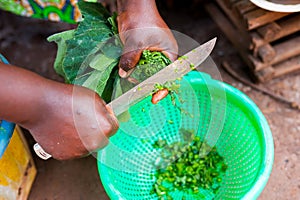 Black woman hands cutting lettuce while cooking traditional african dish with african dress