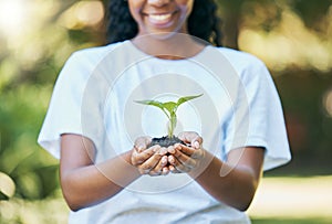 Black woman hands, plants and growth for earth day, sustainability and gardening, agriculture and farming hope. Green