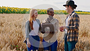 Black woman very charismatic and her two friends farmers in the middle of the wheat field they analysing from the laptop