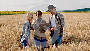 Black woman very charismatic and her two friends farmers in the middle of the wheat field they analysing from the laptop