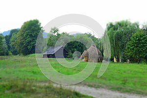 Black wooden house on the field