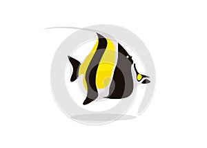 Black and yellow angel fish vector