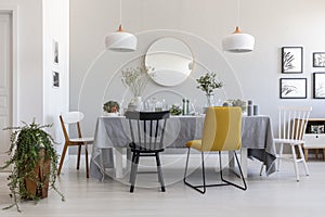 Black and yellow chair at table in white dining room interior with plants, lamps and mirror
