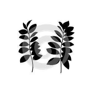 Black zamia Leaf Silhouette isolated on white background. Vector Illustration