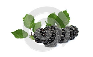 Blackberries