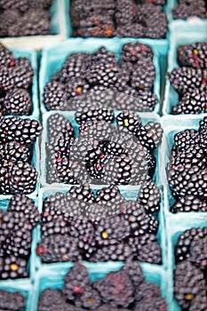 Blackberries