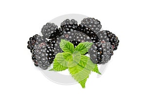Blackberries photo