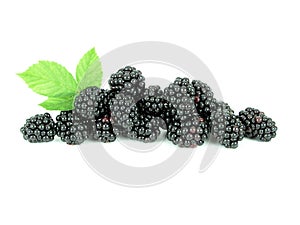 Blackberries