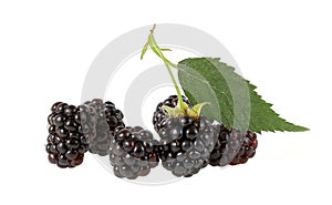 Blackberries