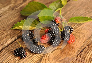 Blackberries