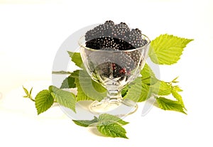 Blackberries