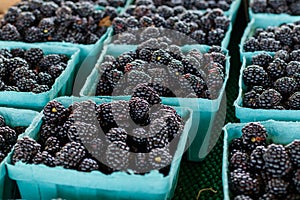 Blackberries