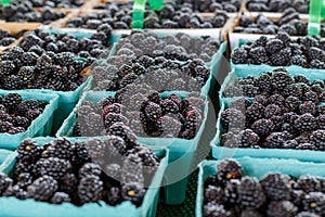 Blackberries