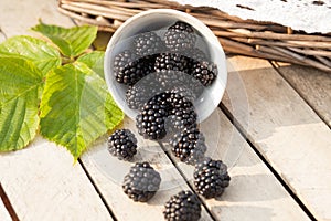 Blackberries in basket on the green grass