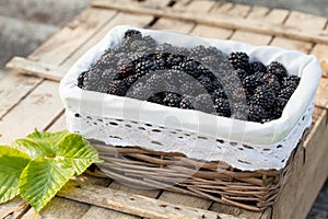 Blackberries in basket on the green grass