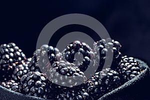 Blackberries in a black bowl in front of the blackbackground, isolated photo