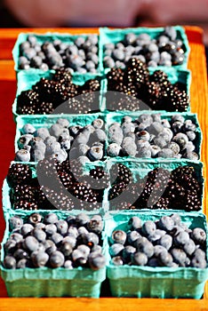 Blackberries and blueberries glistening in the sun at the Cahrleston, SC Farmer's Market.