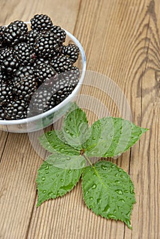 Blackberries in bowl