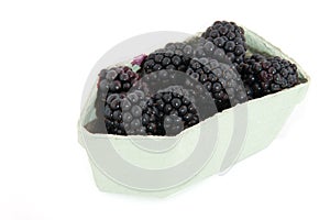 Blackberries in carton photo