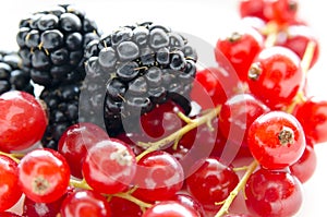 Blackberries and currants