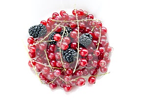 Blackberries and currants