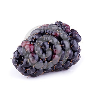 Blackberries or Dewberries isolated on a white background