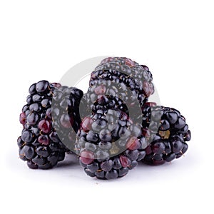 Blackberries or Dewberries isolated on a white background