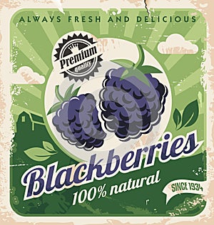 Blackberries farm vintage promo poster