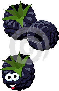 Blackberries. Group of two ripe blackberries with green leaves isolated on white background. Forest berry. Funny cartoon