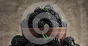 Blackberries and leaves of green mint in bowl. rotation on fabric background