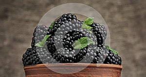 Blackberries and leaves of green mint in bowl. rotation on fabric background