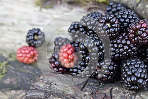 Blackberries offer many health benefits, including full of vitamins and minerals like C, K, and manganese high in fiber may boos