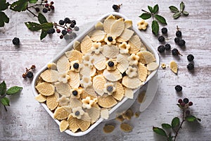 Blackberries and Peach Cobbler or Fruit Pie