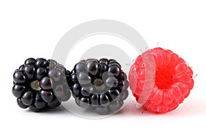 Blackberries and raspberry