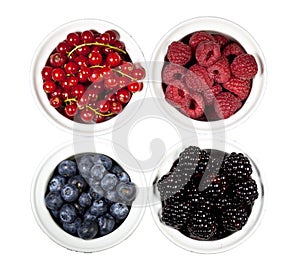 Black & blue berries, redcurrants, red raspberries