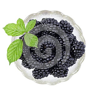 Blackberries in a saucer with green leaves