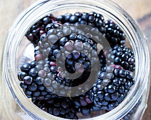 Blackberries Up Close